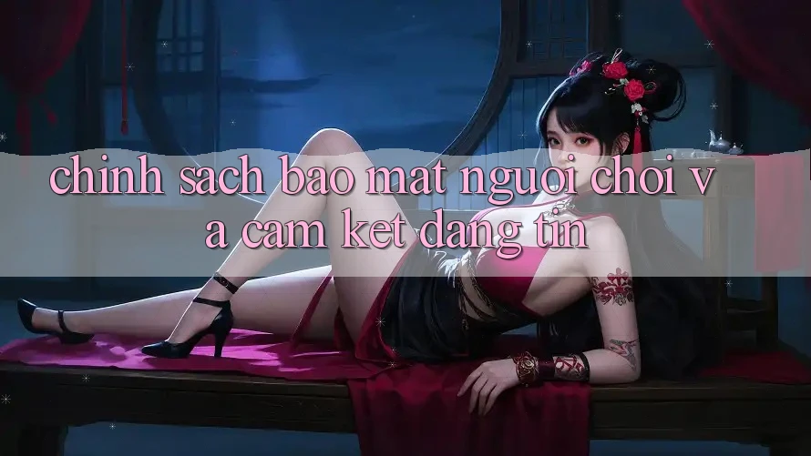 Chính Sách Bảo Mật Người chơi Và Cam Kết Đáng tin Chính Sách Bảo Mật Người chơi Và Cam Kết Đáng tin