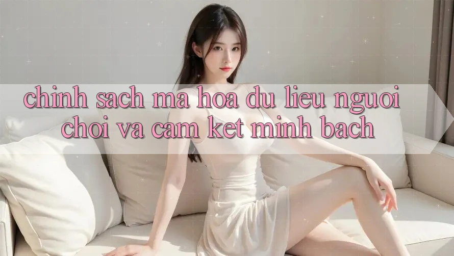 Chính Sách Mã hóa dữ liệu Người chơi Và Cam Kết Minh Bạch Chính Sách Mã hóa dữ liệu Người chơi Và Cam Kết Minh Bạch