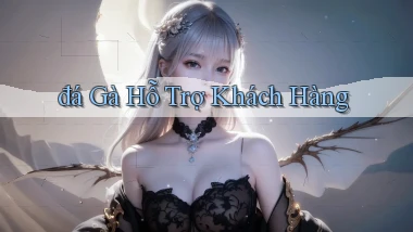 đá gà Hỗ trợ khách hàng