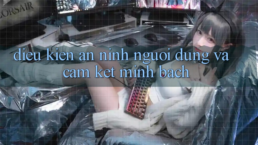 Điều kiện An ninh Người dùng Và Cam Kết Minh Bạch