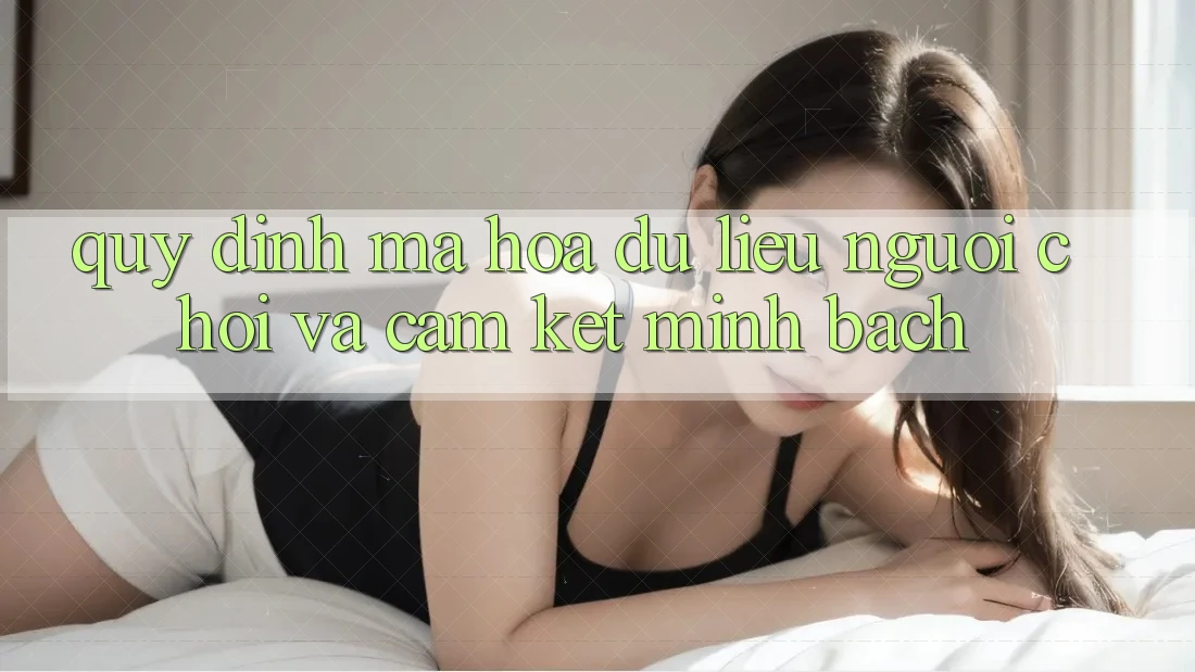 Quy định Mã hóa dữ liệu Người chơi Và Cam Kết Minh Bạch Quy định Mã hóa dữ liệu Người chơi Và Cam Kết Minh Bạch