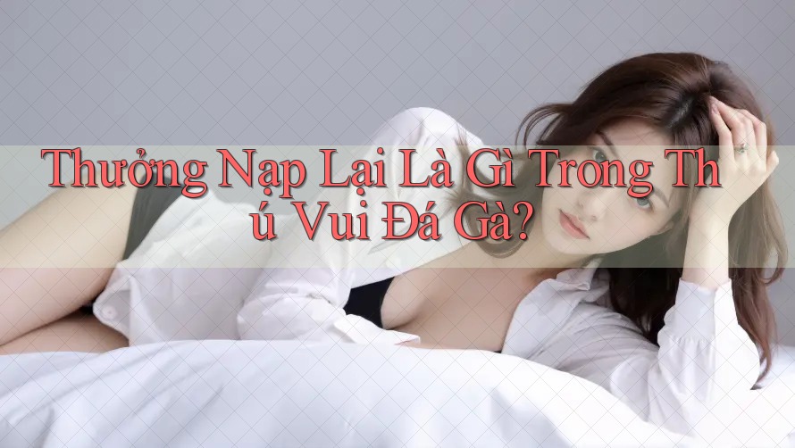 Thưởng Nạp Lại Là Gì Trong Thú Vui Đá Gà? Thưởng Nạp Lại Là Gì Trong Thú Vui Đá Gà?