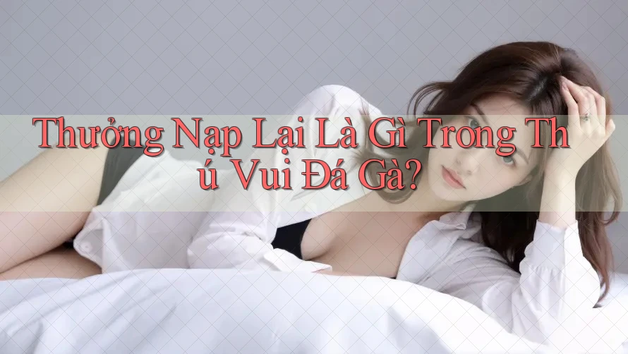 Thưởng Nạp Lại Là Gì Trong Thú Vui Đá Gà? Thưởng Nạp Lại Là Gì Trong Thú Vui Đá Gà?